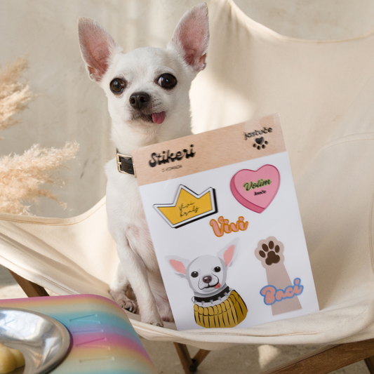 Set personalizovanih stikera